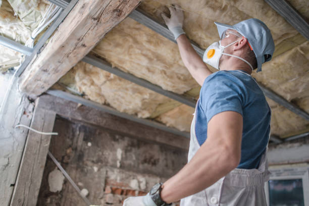 Best Fiberglass Insulation in Lavalette, WV