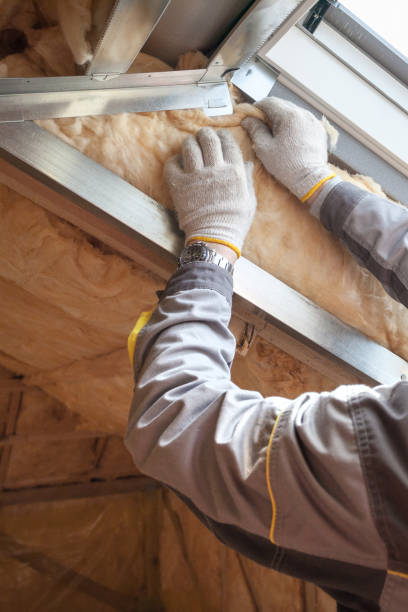 Types of Insulation We Offer in Lavalette, WV